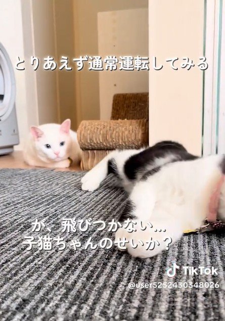 出所：@user5252430348026