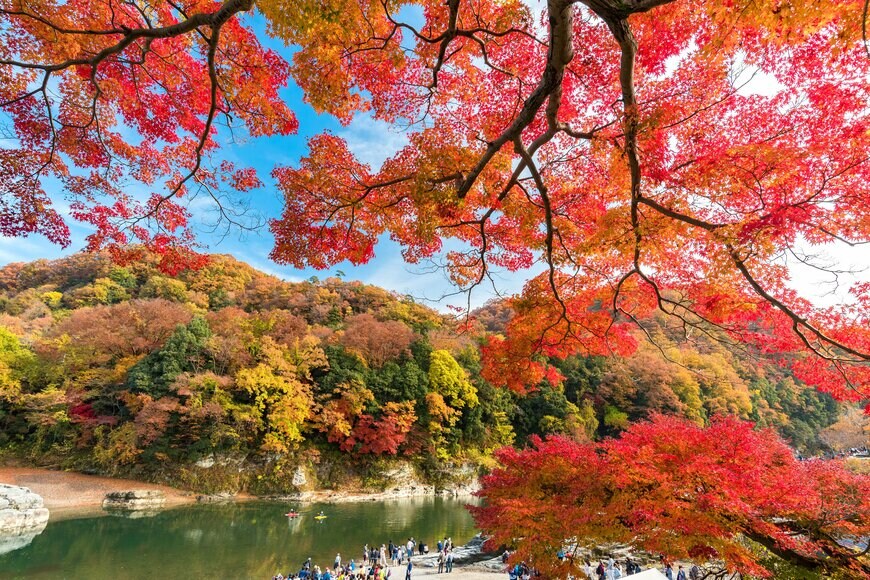 segawa7/shutterstock.com