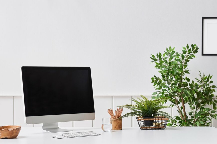 united photo studio/Shutterstock.com