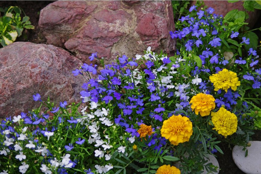 Marina_Saw_it/Shutterstock.com