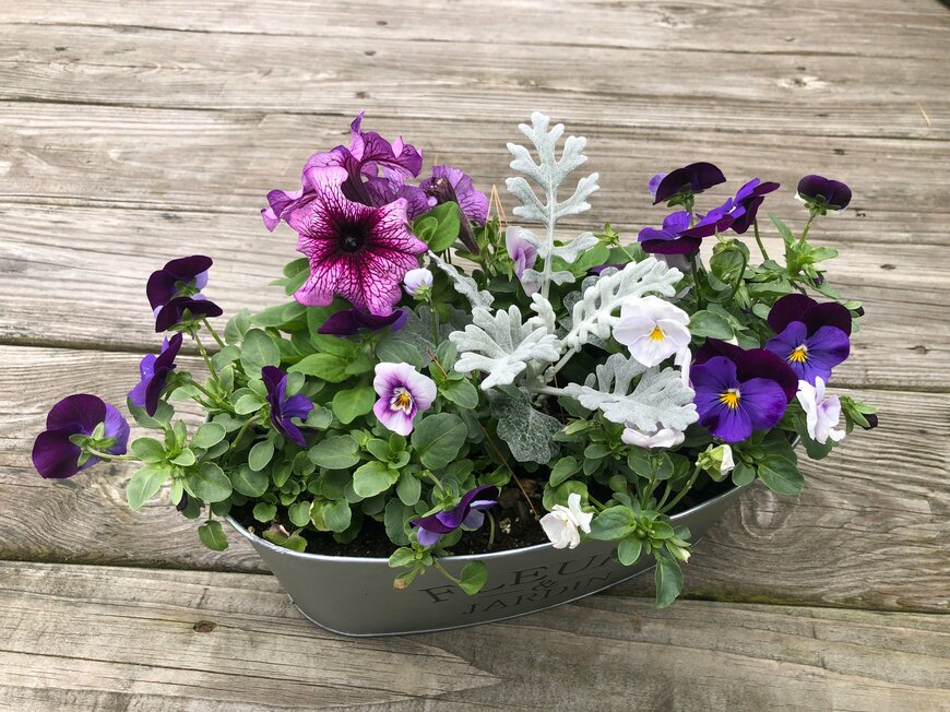 Nourinet/shutterstock.com