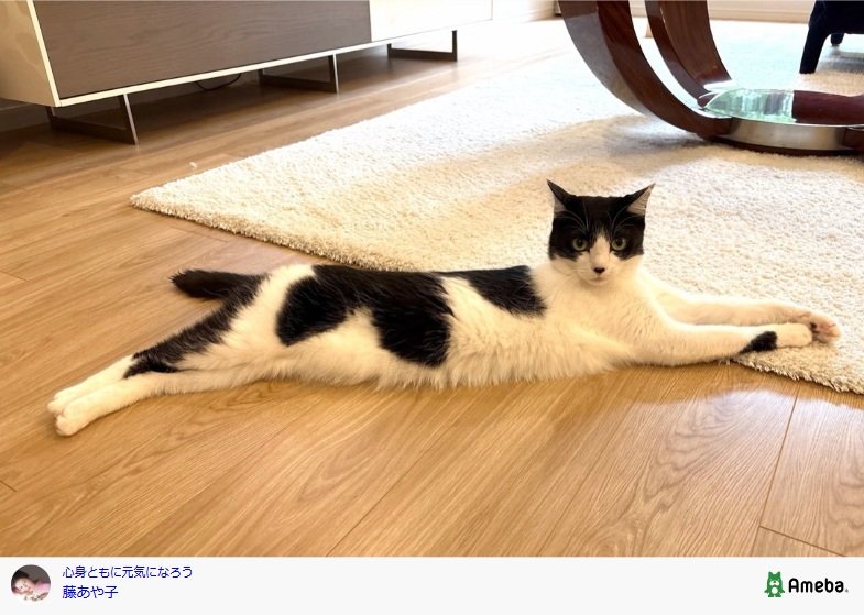 出所：藤あや子のAmebaブログ 参照日：2025年10月23日