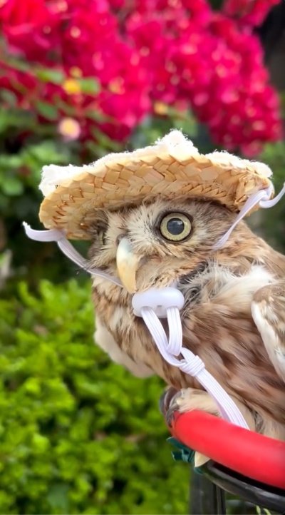 出所：@cr8673.hiro