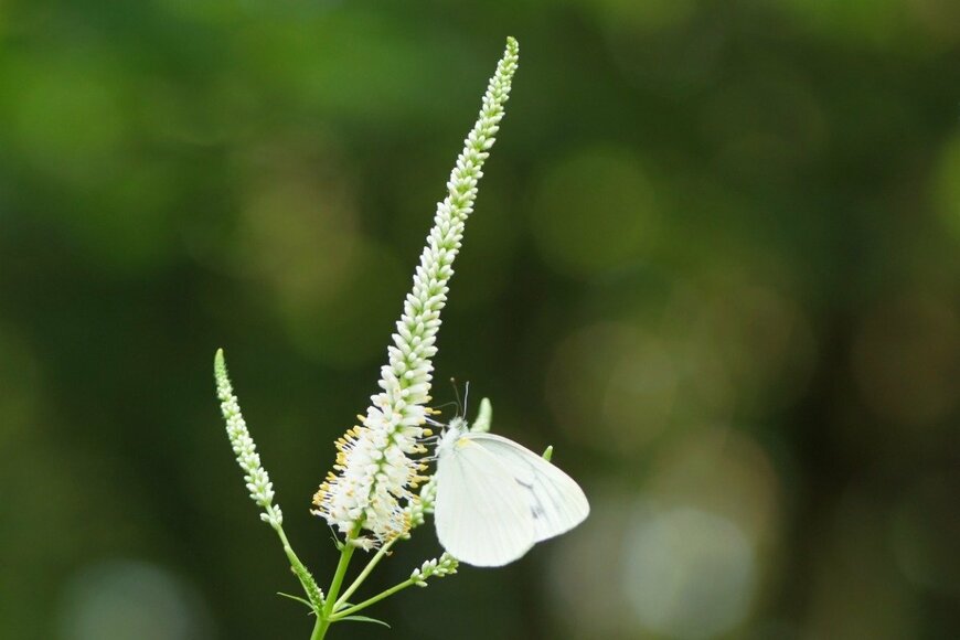 Hiyoman/istockphoto.com