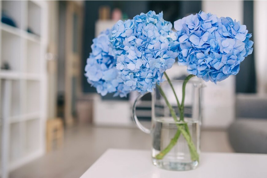 KAZLOVA IRYNA/Shutterstock.com