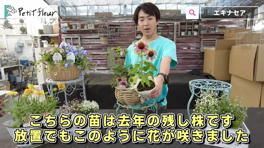 出所：@petit_fleur