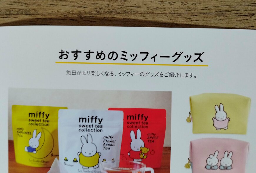 筆者撮影（宝島社、miffy カードが見やすい じゃばら式ミニ財布 BOOK）