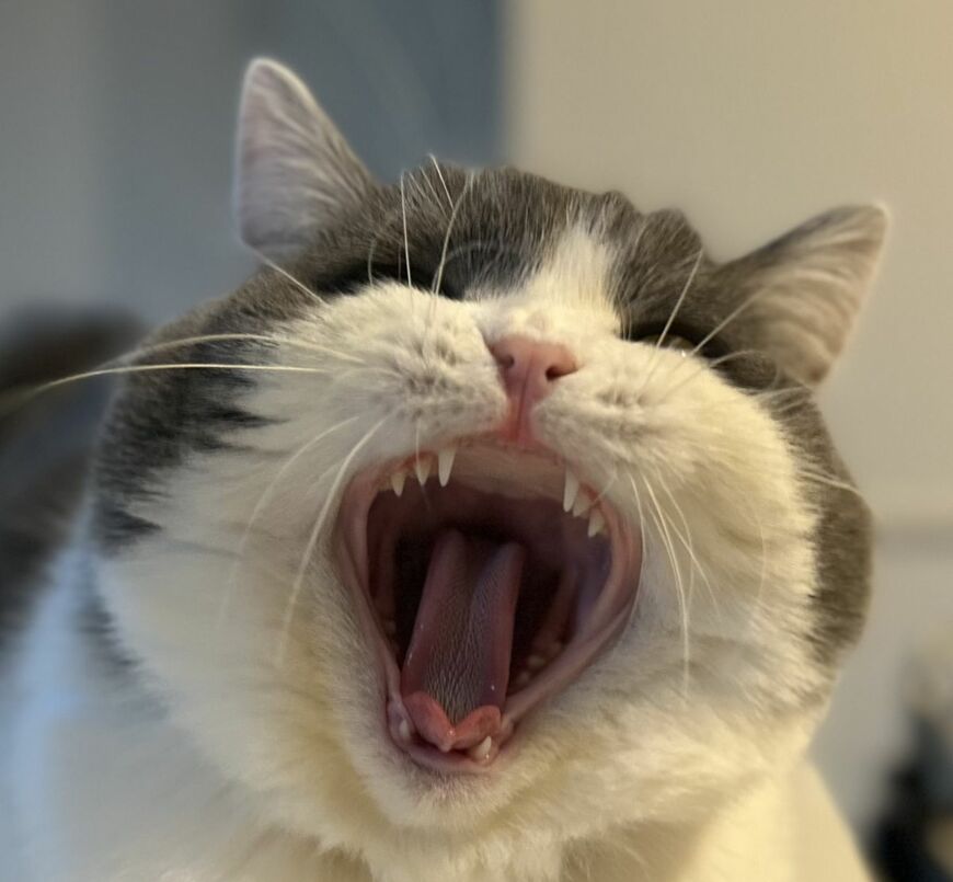 出所：@brimochi222