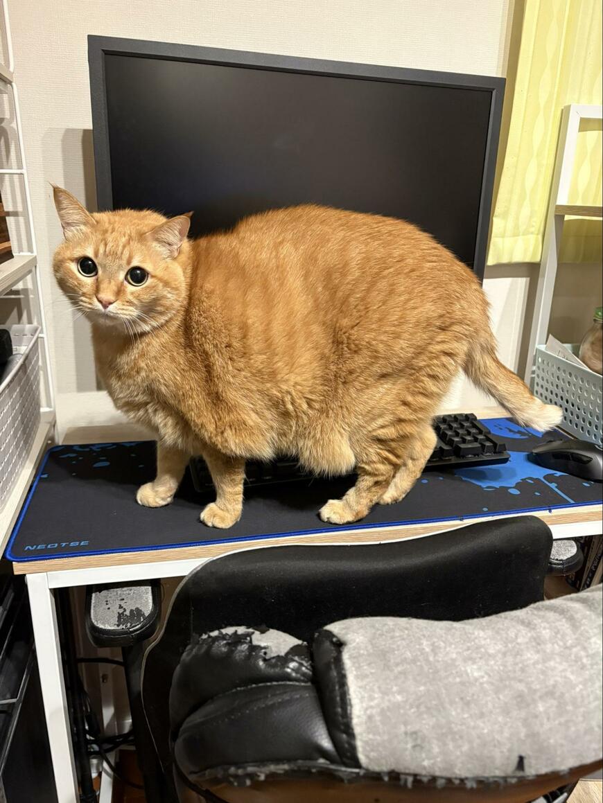 出所：@kagisuzu0531