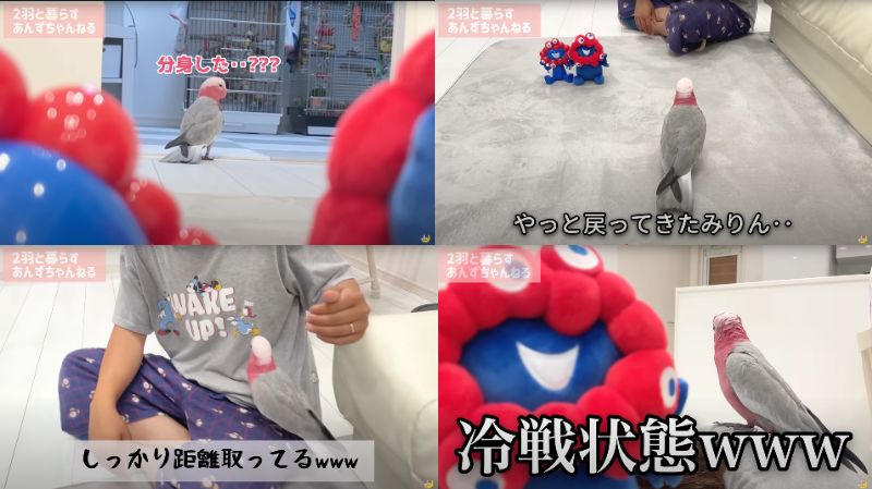 出所：@anz_omomiri