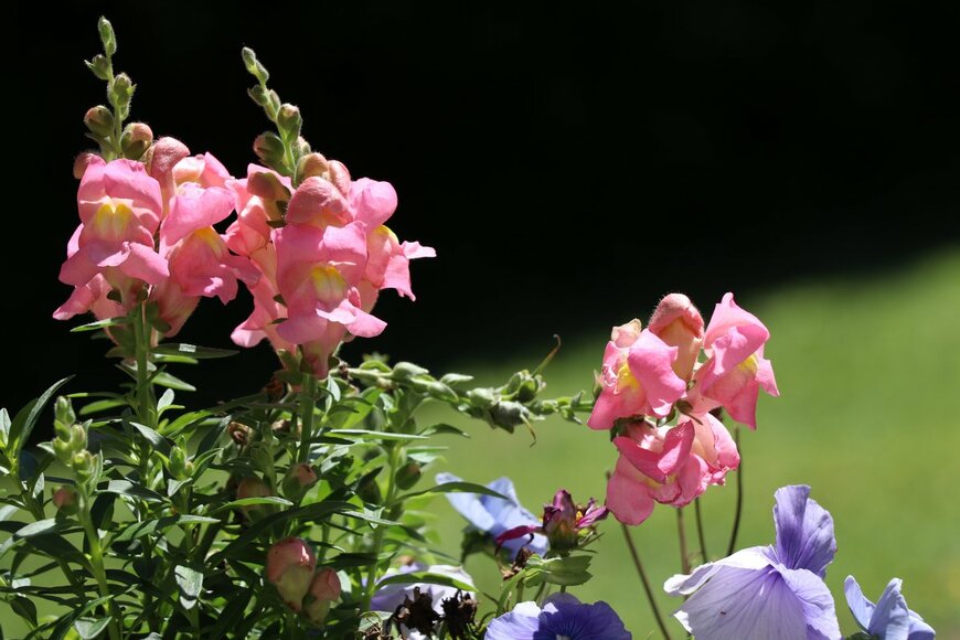 Barb Elkin/Shutterstock.com