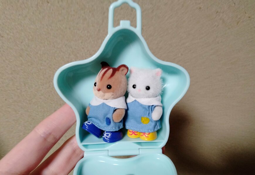 筆者撮影（セリア、ラッピング窓付ケース 星型）