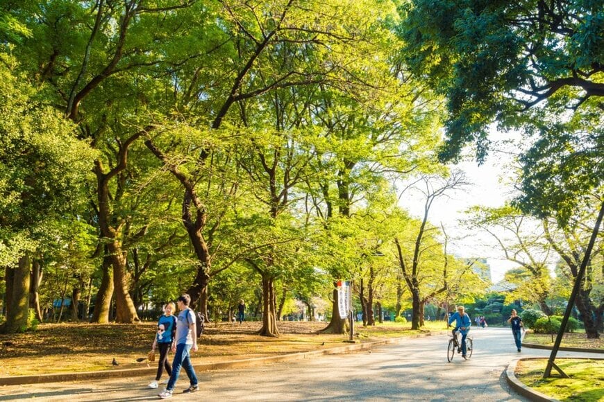 「東京都・上野恩賜公園」に現役で残る昔ながらの屋台　懐かしさあふれる光景に「こういうお店大好き」