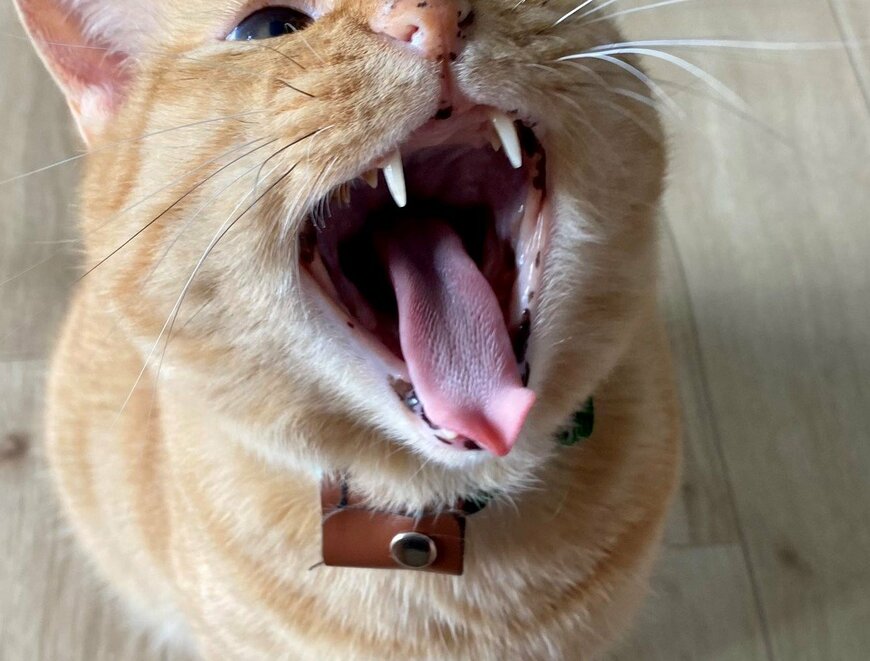 出所：@luna7taka9