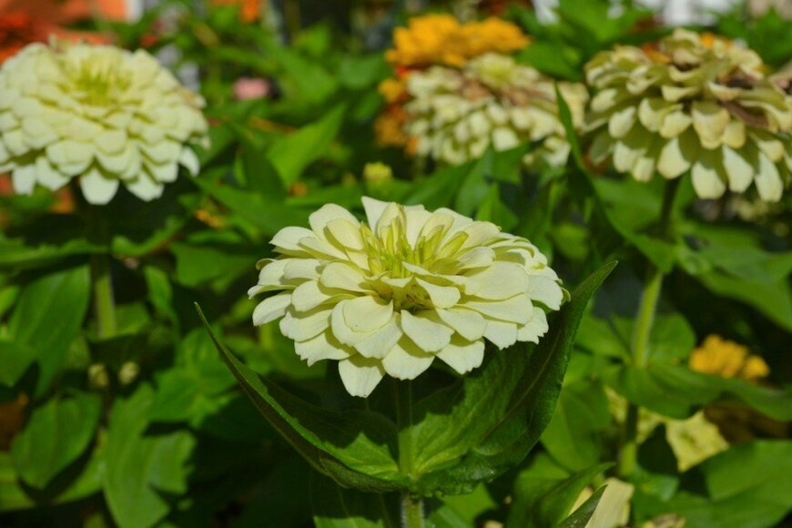 Edson Hardt/istockphoto.com