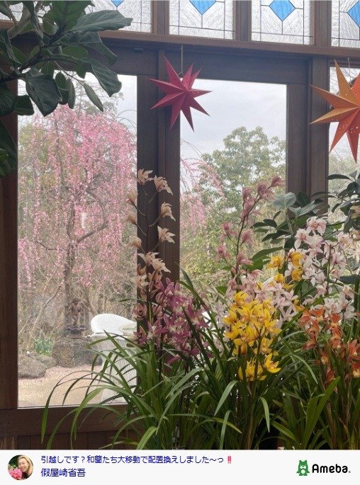 出所：假屋崎省吾の公式ブログ　参照日：2026年2月18日