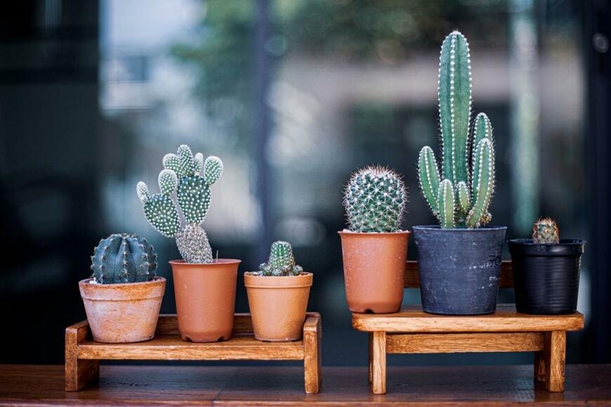 TEE1449/shutterstock.com