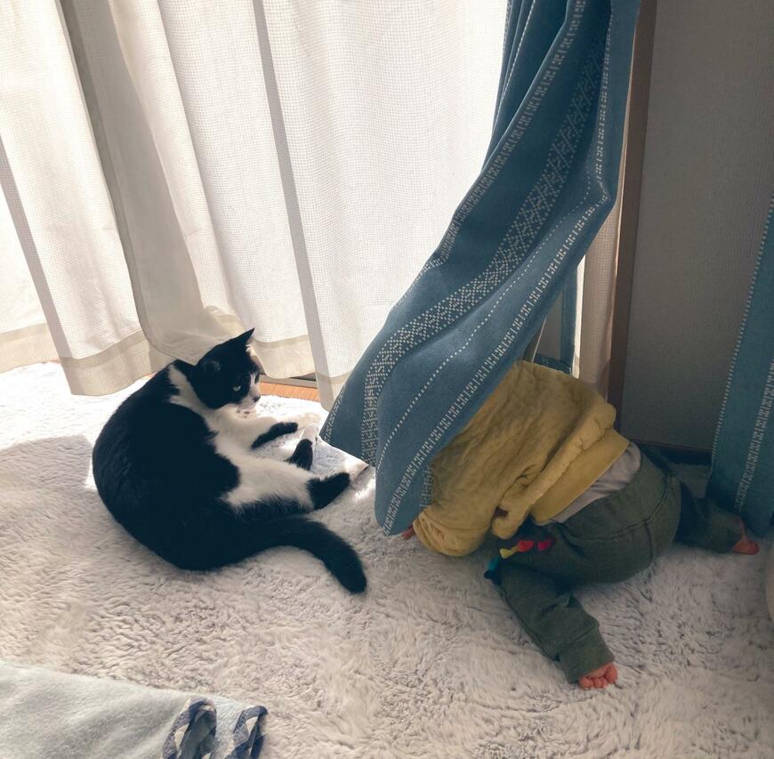 出所：@nekosuki1121