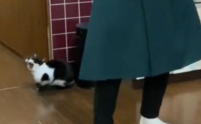 出所：@00shitemita