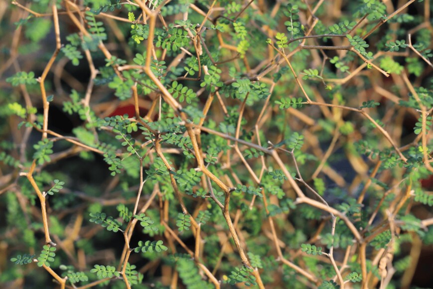 Traveller70/shutterstock.com