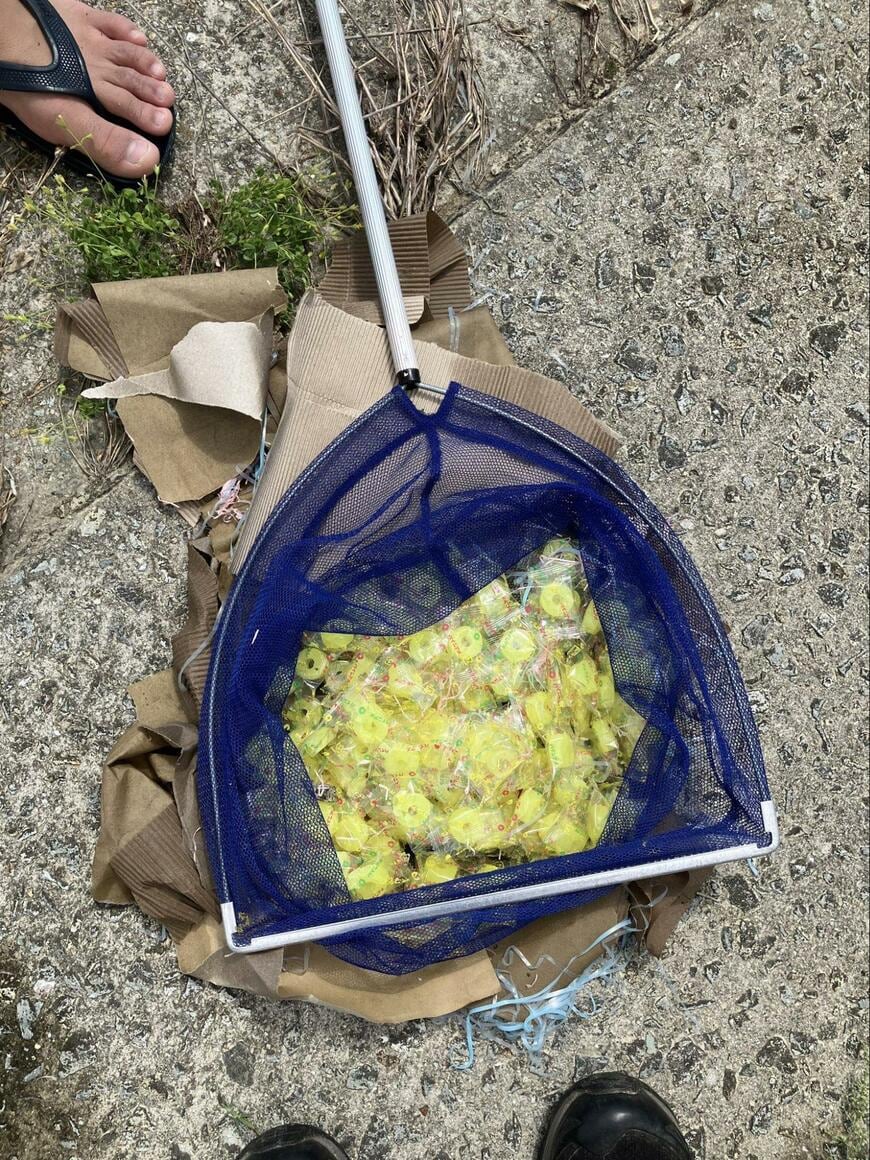 出所：@crab_banyanya