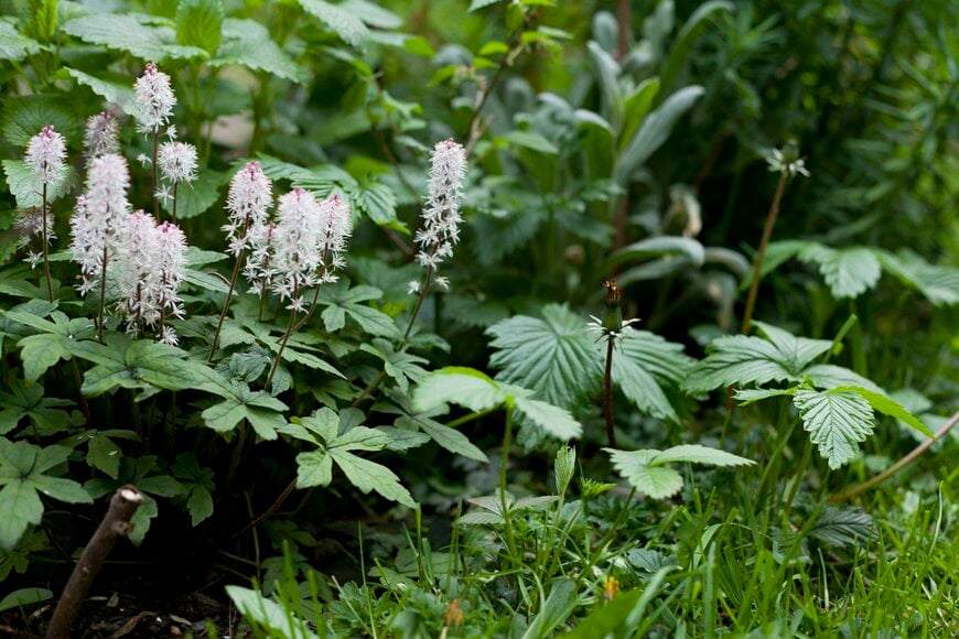 joannatkaczuk/istockphoto.com