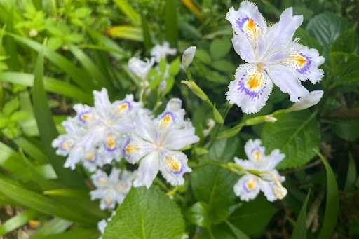 SuperJulior/shutterstock.com