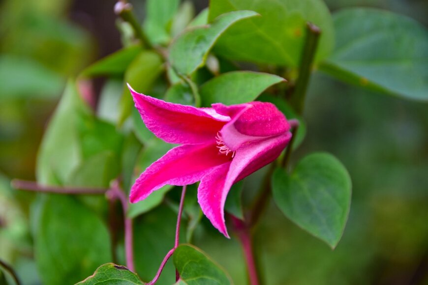 FURISHO/shutterstock.com