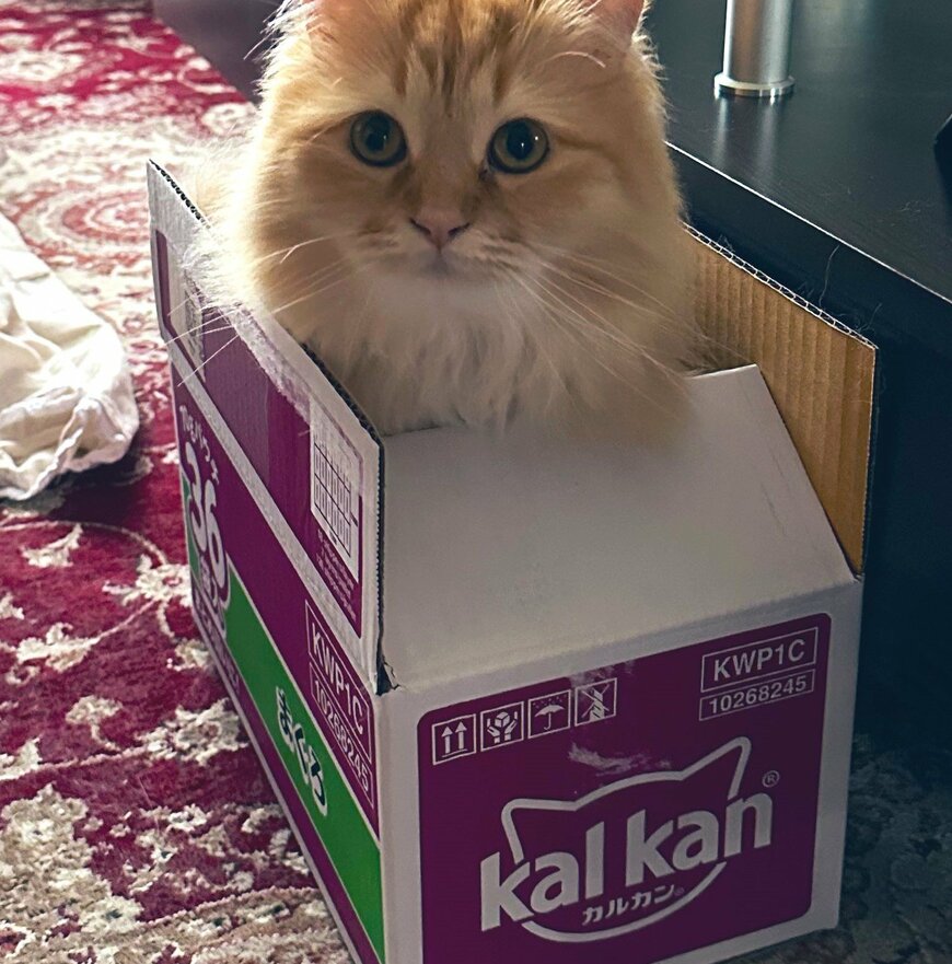 出所：@NEKOLAND13