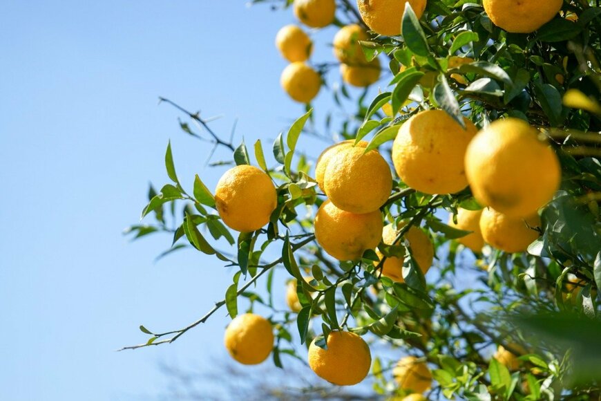 maroke/istockphoto.com