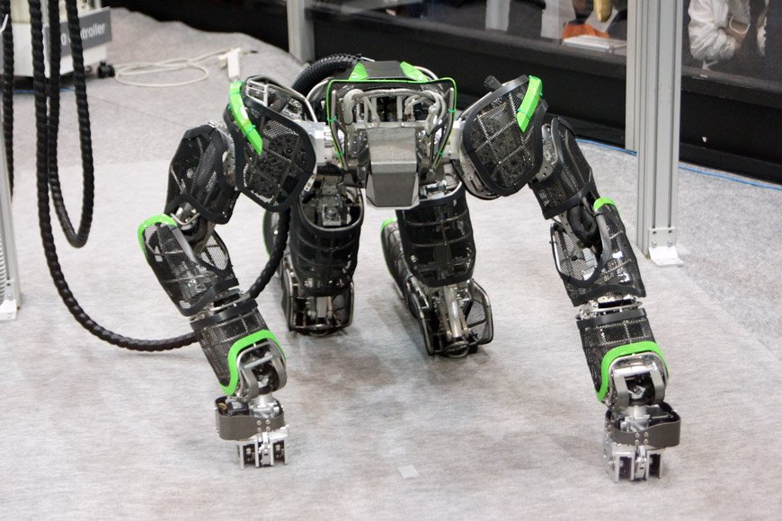 大の字に寝ている状態から起き上がり、はいはいする