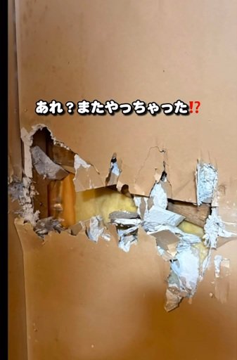 出所：@sarasa_life_diy