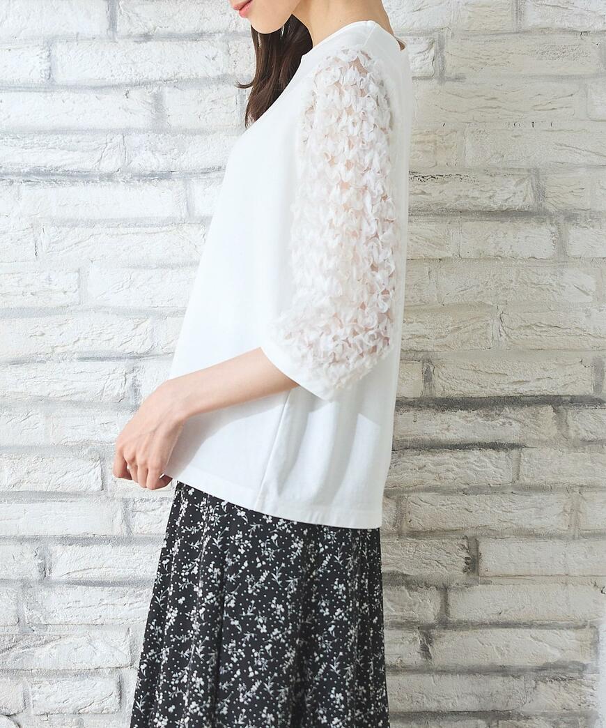 ハニーズ 6分袖レース使いトップス