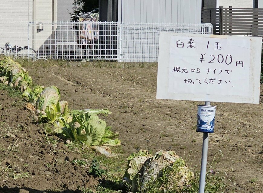 このお値段はなかなかお得