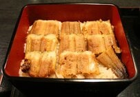 なぜアナゴはウナギの代わりにならないのか、その違いは？