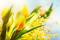 60代のお金事情「定年退職金」はいくらもらえるのか