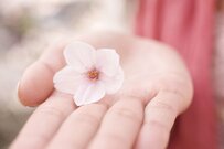 【都道府県別】老齢年金の平均額と「年金生活者支援給付金の給付金総額」一番高いのはどこ？