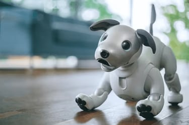 ソニー】aiboの特別仕様モデルが可愛すぎて悶絶！柔らかな「なで心地