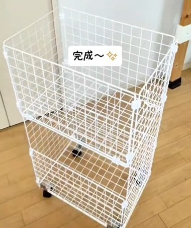 投稿の画像