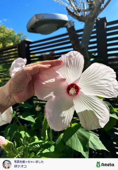 研ナオコが投稿した写真