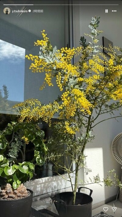 坪倉由幸のInstagram投稿