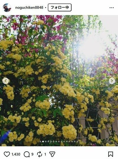 野口健のInstagram投稿