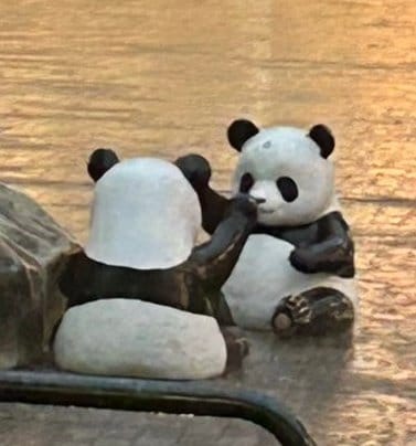 雨の中遊んでいるように見える小パンダたち