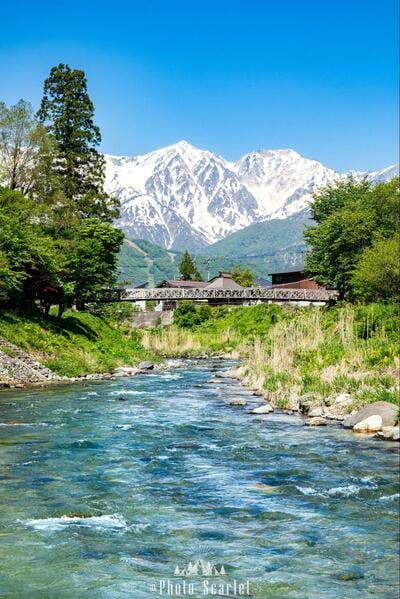 投稿の画像