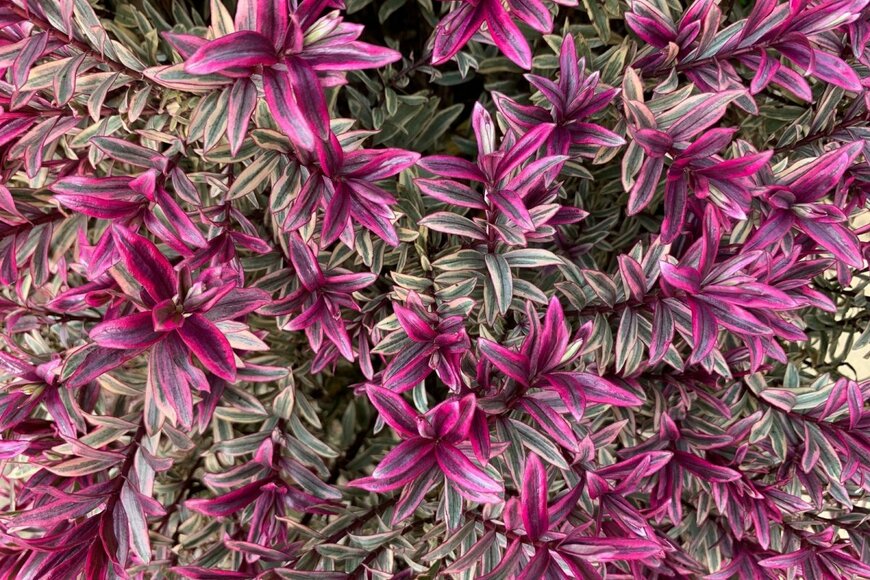 Joe Kuis/shutterstock.com