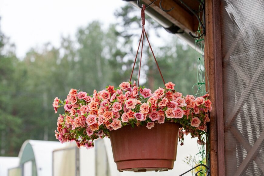 Klever_ok/istockphoto.com