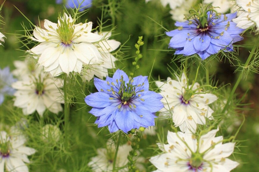 Queserasera99/istockphoto.com