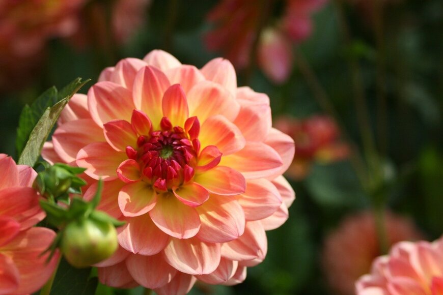 Kreativtraum/istockphoto.com