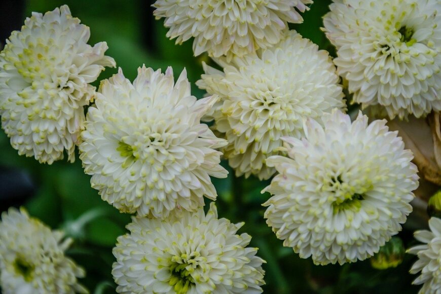 Vincent Ryan/istockphoto.com