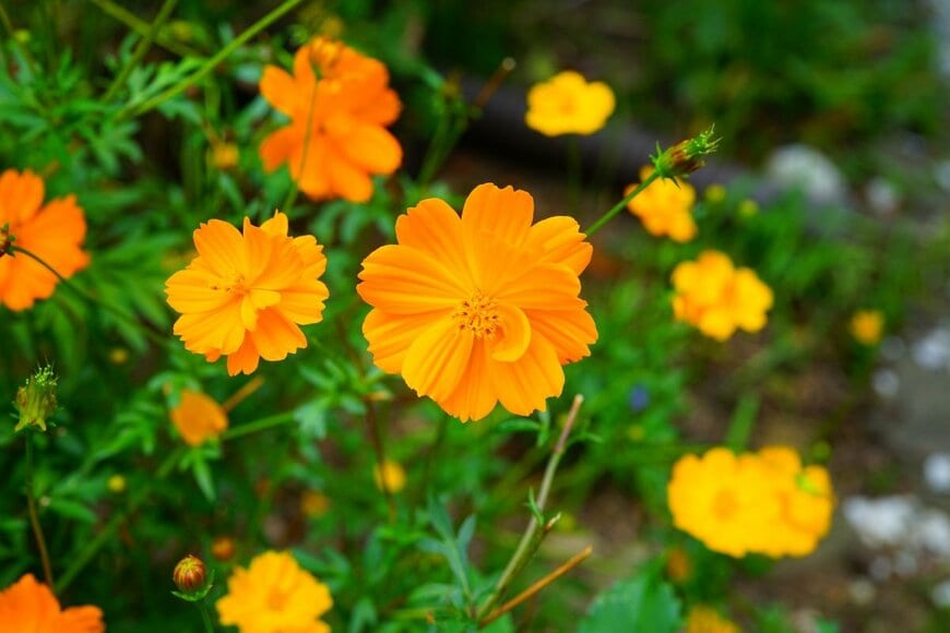 EQRoy/shutterstock.com